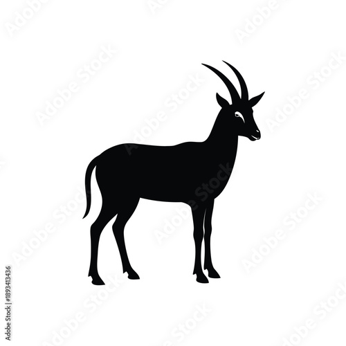 Graceful Arabian oryx silhouette on a white background, embodying desert resilience and elegance. Vector art.