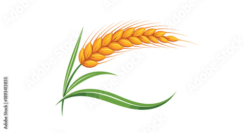 Single arched stalk of golden wheat with long green leaves representing harvest time, grain production, and natural farming.