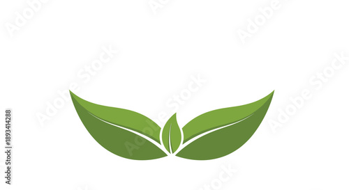 Two green leaves symmetrical arrangement on white background for simple organic logo or environment protection symbol.
