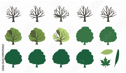 SEO Friendly Title
Hand Drawn Botanical Tree and Leaf Vector Set with Bare and Lush Green Trees in Flat Design Style