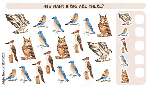 Education counting game with birds. Kids task activity