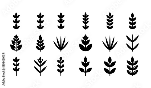 Geometric black lavender logo icon set with Provence herbal symbols vector