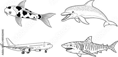 Line art animal vector set with dolphin, shark and koi fish. Black and white outline illustration collection. Minimal sketch icons for education and design.