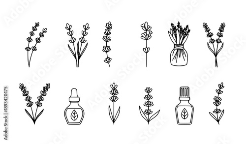 Monoline black lavender icon collection with outline aromatic herb symbols vector