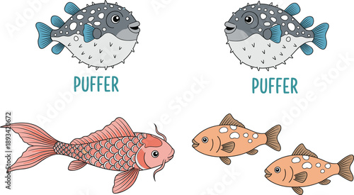 Puffer fish cartoon vector set. Cute marine and freshwater fish characters. Kids friendly aquatic animals illustration isolated on white background.