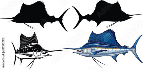 Sailfish vector set with silhouette, engraving and realistic styles. Dynamic billfish ocean predator illustration pack. Sport fishing marine fish design for logo, apparel and branding use.