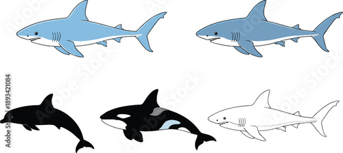 Shark and dolphin vector set in different styles. Marine predators and ocean mammals illustration pack. Flat, silhouette and outline sea animals collection.