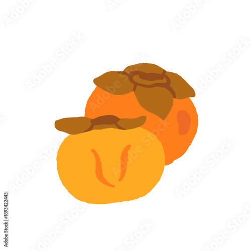 Set of tropical fruits. Persimmon, banana, pineapple, etc. Vector illustration of exotic fruits on a white background.