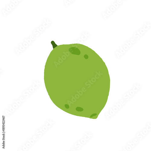 Set of tropical fruits. Persimmon, banana, pineapple, etc. Vector illustration of exotic fruits on a white background.