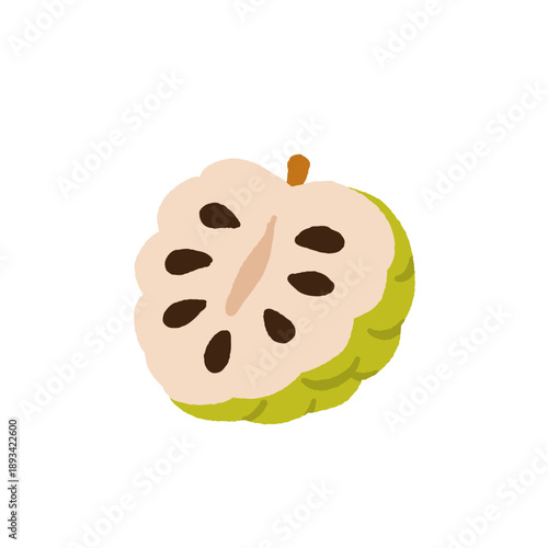 Set of tropical fruits. Persimmon, banana, pineapple, etc. Vector illustration of exotic fruits on a white background.