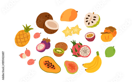 Set of tropical fruits. Persimmon, banana, pineapple, etc. Vector illustration of exotic fruits on a white background.