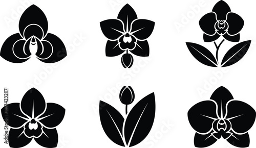 Orchid flower silhouettes collection, elegant floral botanical icons set, black and white decorative blossom symbols isolated on white background vector
