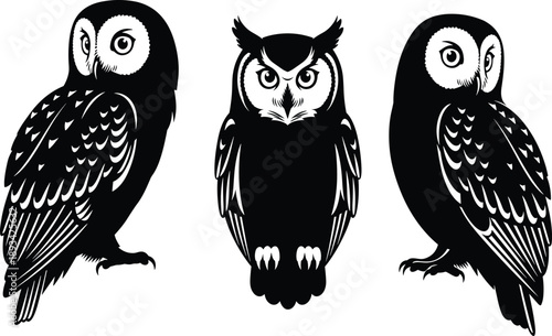 Black silhouette set of three owls with detailed feathers isolated on white background, nocturnal predatory bird vector illustration for wisdom logo and wildlife design. (25 words)