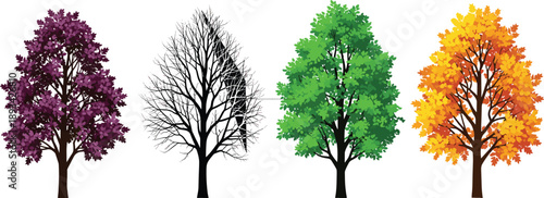 Four seasons tree illustration set showing spring summer autumn and winter foliage cycle for nature ecology environment and seasonal change concepts