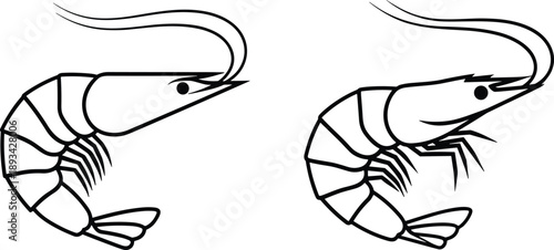 Shrimp and prawn outline icon set featuring seafood illustrations, marine crustacean symbols, minimal black line art, fresh ocean food concept, and simple vector design