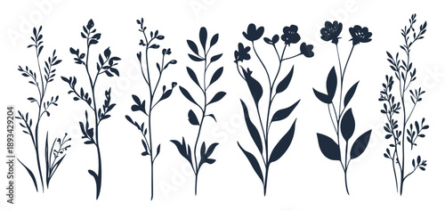 silhouette of various delicate wildflowers and leaves