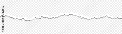 Ripped paper strips with rough torn edges