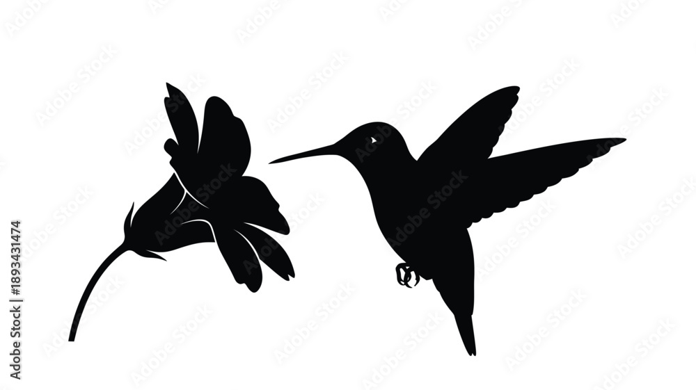 Obraz premium a striking black silhouette of a hummingbird hovering near a delicate flower