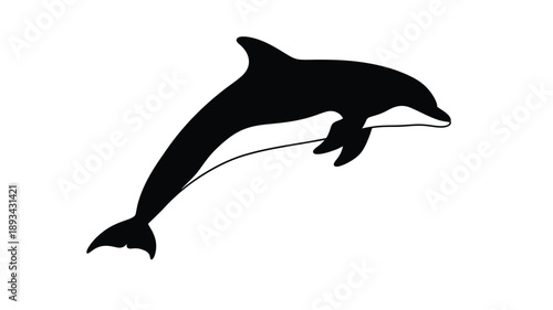 a sleek black dolphin jumping from the water a graceful silhouette