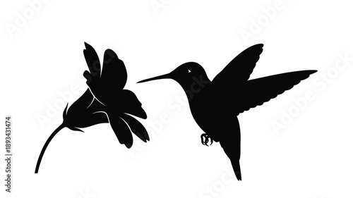 a striking black silhouette of a hummingbird hovering near a delicate flower
