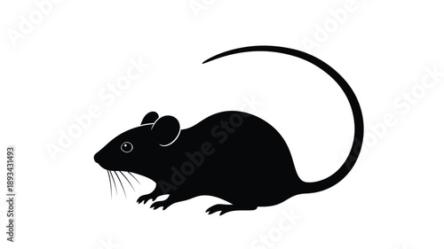 a simple black silhouette of a mouse standing and looking to the side