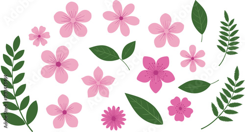 Pink cherry blossom flowers and green leaves vector set, botanical spring floral elements for elegant nature designs