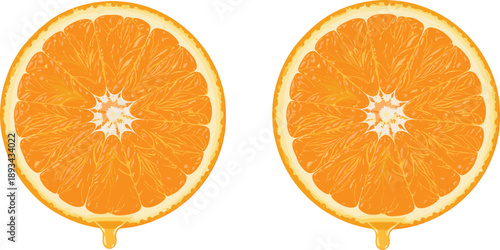 Fresh orange slice illustration with juicy citrus texture, healthy fruit design for food, summer, and beverage themes