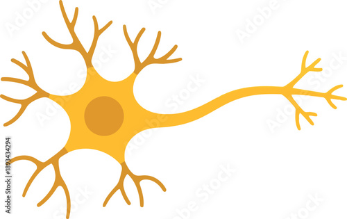 Vector Illustration of Yellow Neuron Cell with Dendrites and Axon for Science and Education