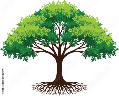 Large green leafy tree with visible roots illustration, natural forest plant design for eco and environment themes