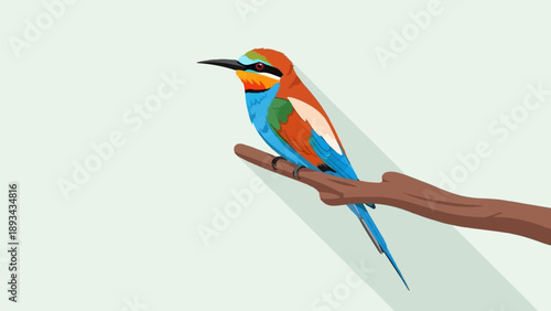 Colorful bird perches on a branch, casting a long shadow