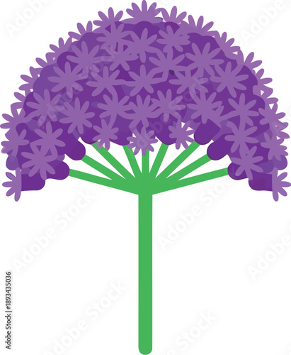 Vector Illustration of Purple Allium Flower Isolated on White Background for Botanical Design