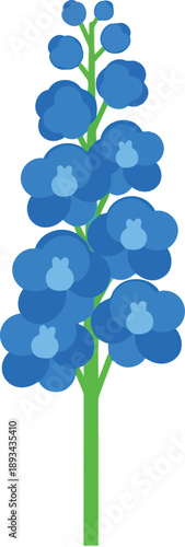 Blue Delphinium Flower Illustration Isolated on White, Botanical Clipart for Spring Design