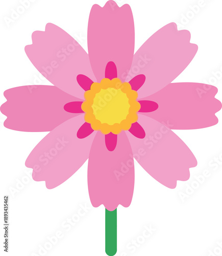 Vector Illustration of Pink Sakura Flower Isolated on White, Flat Cartoon Spring Blossom Icon