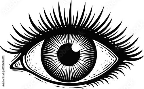 detailed human eye illustration with long eyelashes, iris pattern, and bold black lines for artistic design