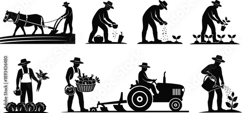 Agricultural work stages illustration, farmer plowing soil, sowing seeds, , harvesting vegetables, carrying basket, tractor farming, watering plants, rural lifestyle vector