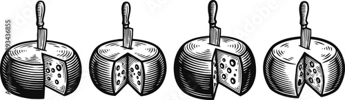 vintage round cheese wheels with knives inserted, detailed hand drawn dairy illustration