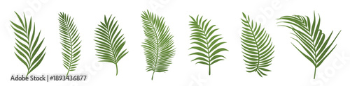 single green palm leaf illustration in flat tropical nature 