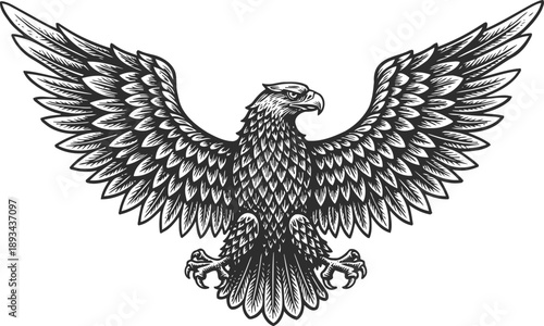 majestic eagle with outstretched wings detailed black and white illustration of powerful bird of prey