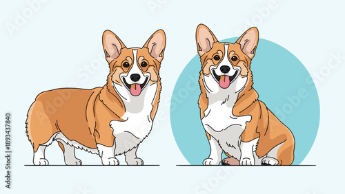 Two cute Welsh Corgi dogs in different poses, one standing and one sitting, illustrated with clean lines and flat colors on a light background.