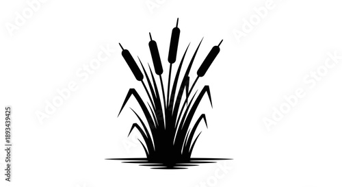 Black Silhouette of Cattails Plant Illustration.