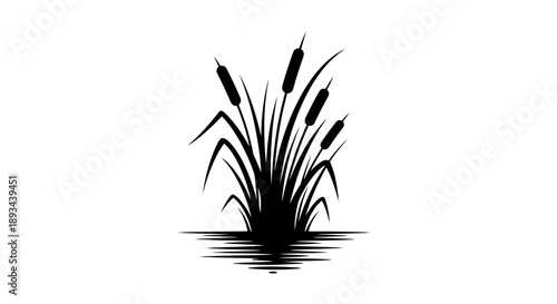 Black Silhouette of Cattails in Water.