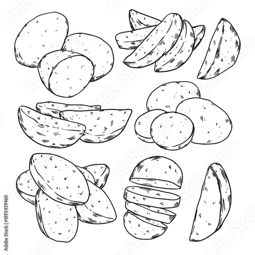 Set of hand drawn whole and cut potatoes and potatoes wedge outline drawing doodle illustration