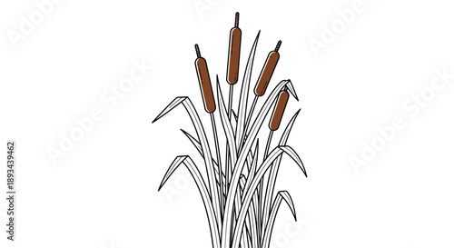 Cattails Illustration with Brown Flowers.