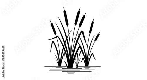 Black and White Illustration of Cattails.
