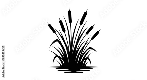 Black Silhouette of Cattails in Water.