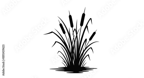 Cattails Silhouette Illustration on White Background.