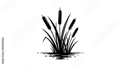 Cattails Illustration Silhouette Water Plant.