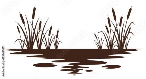Cattails and Reeds in Water Illustration.