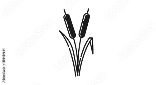 Cattail Plant Illustration Simple Black White.
