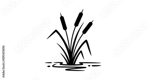 Black Silhouette of Cattails in Water.